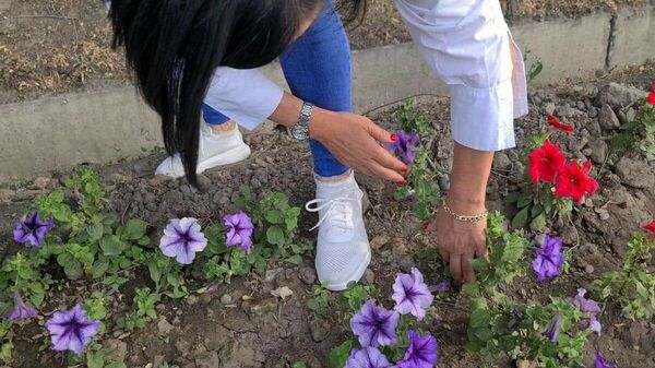 Ромашки спрятались, поникли лютики