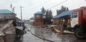 Пожар на Алаколе ликвидирован