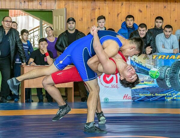 Не в профессионалах дело,  а в их поступках