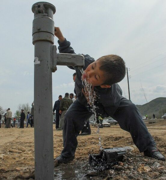 Как жить будем?