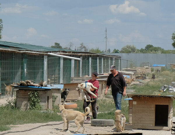 Гена и генетика