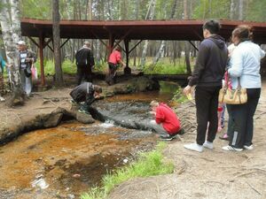 Страна непуганых туристов
