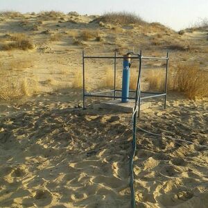 Правда  за миллиард