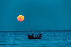 Вращательные ответы