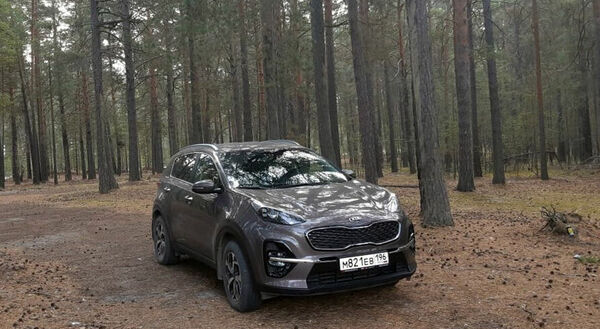 Плевки полицейского