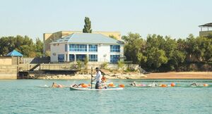 Как рыбы в воде