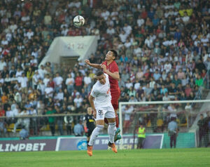 Разобрались по-хозяйски