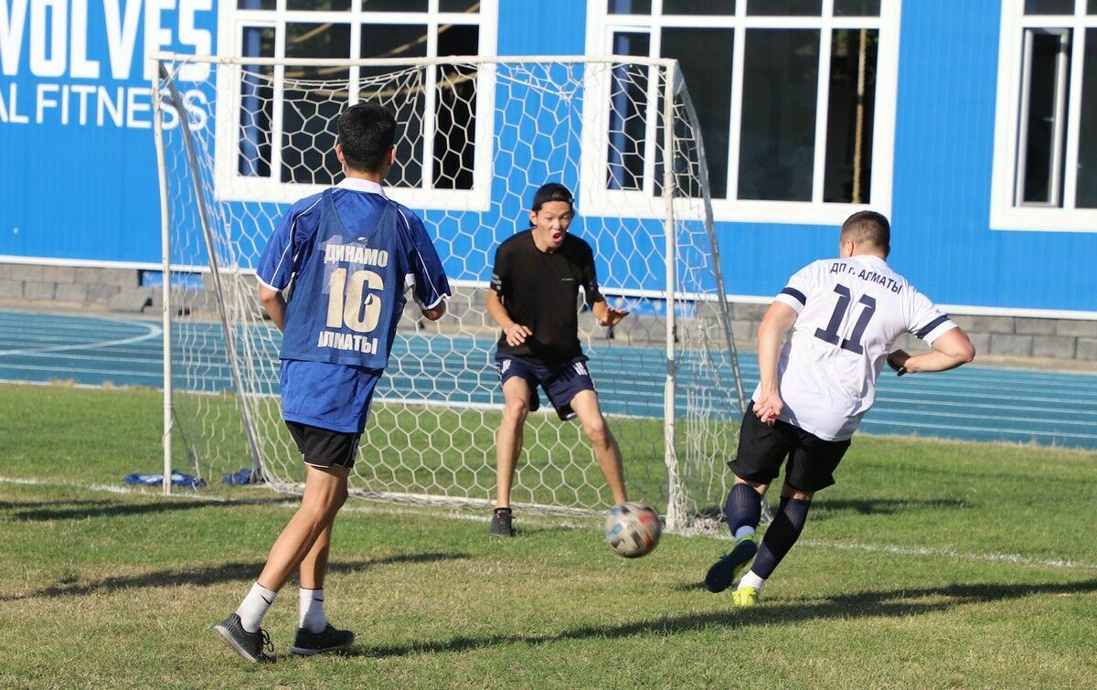 Продинамили