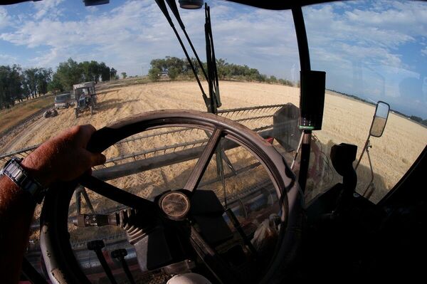 Себя прокормим, продажи обеспечим