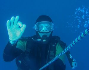 Кто гуляет  в подводном лесу