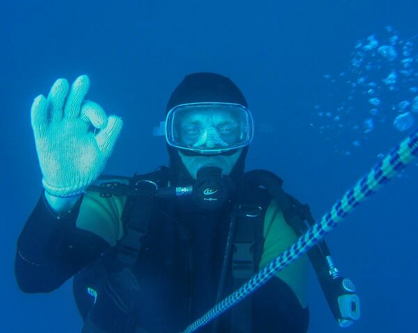 Кто гуляет  в подводном лесу