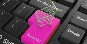 Создать новую систему госзакупок поручил Глава государства