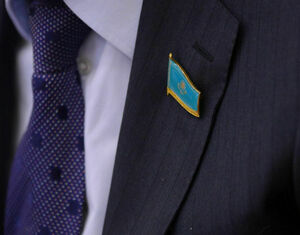 Новые механизмы формирования Парламента и маслихатов заработают в Казахстане