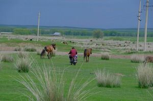 Усовершенствовать до конца года процесс выделения земель бизнесу поручил Президент РК