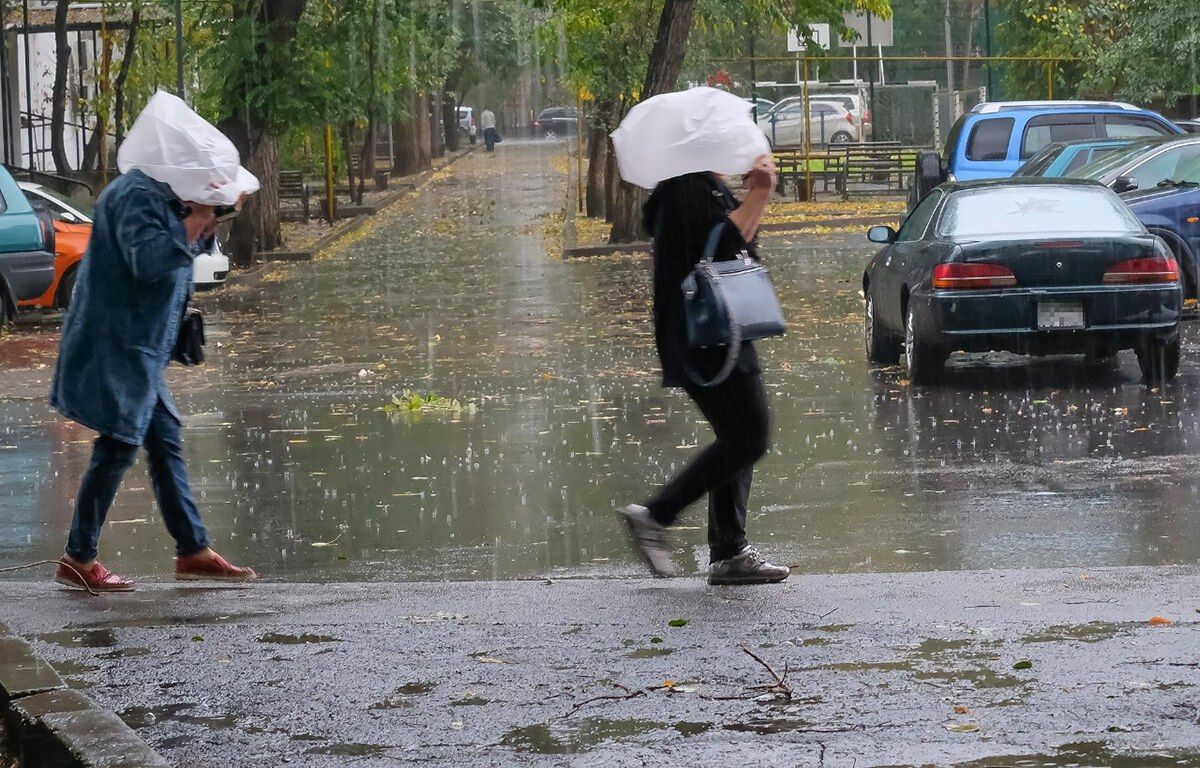 Купили то,  не зная что