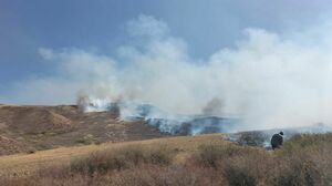 Тревожные выходные