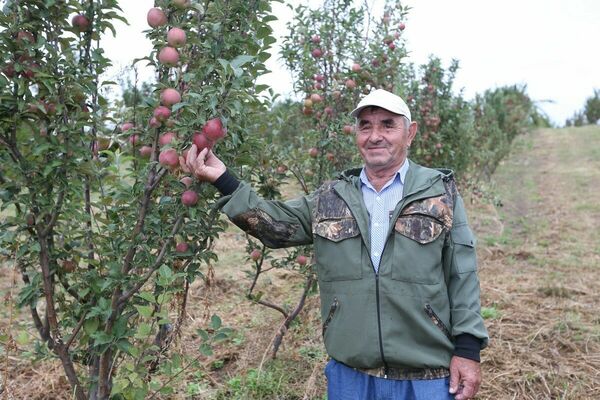 Плоды трудолюбия