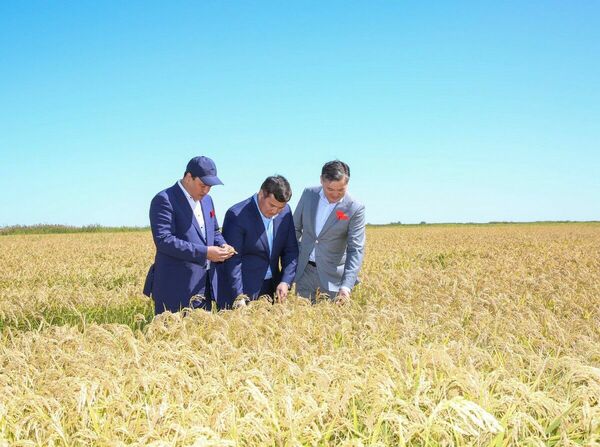 Аграрный бум Приаралья