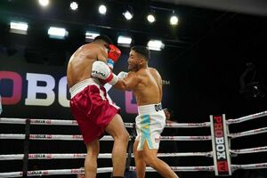 Зверь в нокдауне