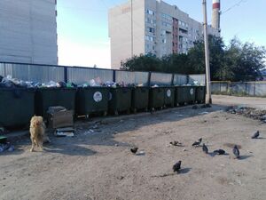 Наказание  за промашку