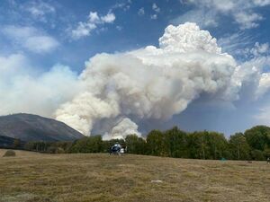 Виновата жара