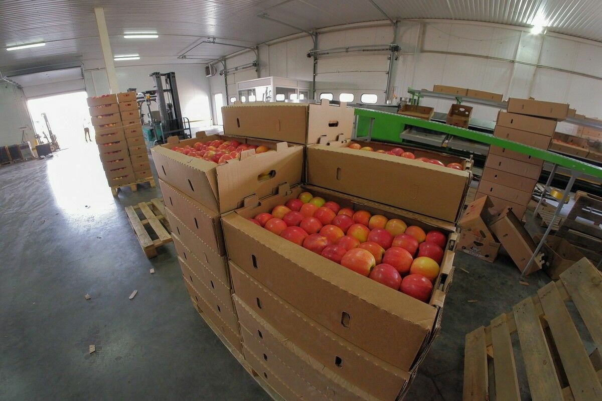 Замороженное полезнее мороженого