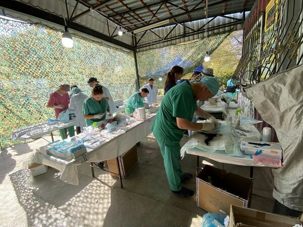 Операция “Стерилизация”