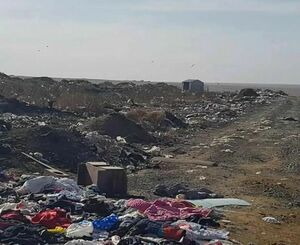 Халтурная работа