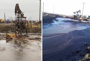 Нефтяные берега