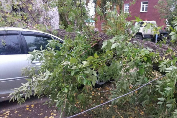 Скупой платит дважды