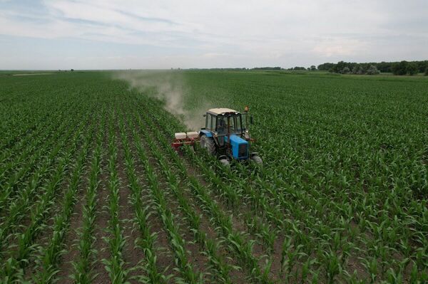 Земельный кавардак