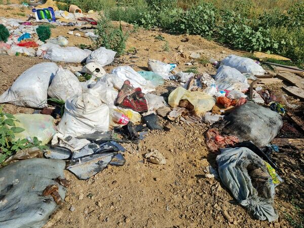 Мусорка вместо парка