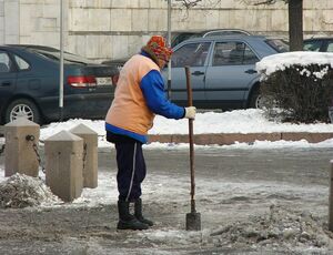 Дворовые тайны,  или Метлу вам в руки!