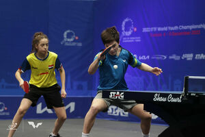 Золотой мастер малой ракетки