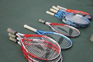 Куш за мёртвых душ