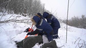 Не кричать! Лавиноопасно!