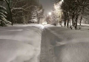 Ни пройти  ни проехать!