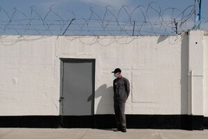 Долги их тяжкие