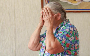 Войны не боятся