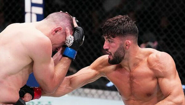 Бои в лучшем октагоне