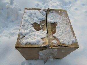 Страшнее не было находки