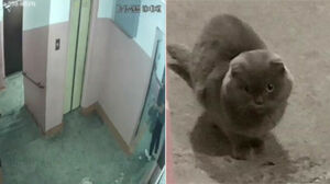 Искал, чтобы забить