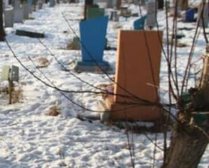 Незваные гости на погосте