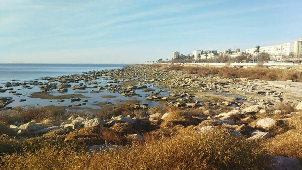 Шум прибоя всё дальше