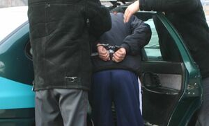 Домушник  на привязи