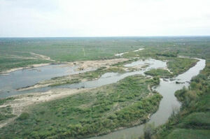 С места -  в карьер