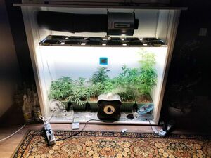 Теплица в шкафу