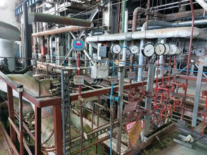 Тёпленькая пойдёт?