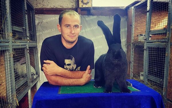 Держите ушки на макушке!