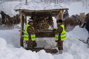 Веник на закуску